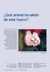 ¿Qué animal ha salido de este huevo? El descubrimiento de la cáscara de un huevo, en el patio de la escuela,...