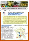 Cluny - Saone-et-Loire - Filière ovine
