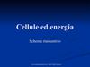 Cellule ed energia