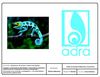 ic adry