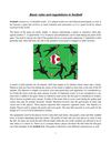 Basic rules and regulations in football