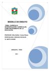 CURRÍCULO, DIVERSIFICACIÓN CURRICULAR, COMO INSTRUMENTO DE LA EDUCACIÓN