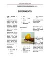 PERIODICO ESCOLAR