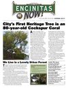 Spring 2011 Encinitas NOW! City e-Newsletter