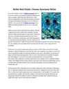 Belize Real Estate: Choose Sanctuary Belize