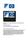 1899 Hoffenheim vs Hamburger SV Bundesliga 2.4.2011 SelMcKenzie Selzer-McKenzie
