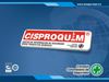 GERENCIA DE CISPROQUIM