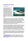 Belize Real Estate Home in Paradise