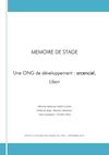 Une ONG de développement arcenciel, Liban