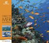 Objectif Voyage - Mer Rouge Extraits