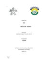 Historia del pc