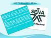 Historia del sena
