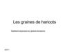 Les graines de haricots