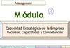 PGG_09_PE_recursos capacidades