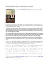 How To Download Old Cats Movie - Downloading Old Cats Full Movie