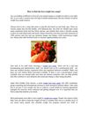 How to find the best weight loss camp?