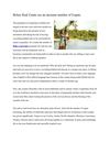 Belize Real Estate see an increase number of Expats