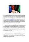Really Effective Tips on Casino