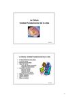 CELULA
