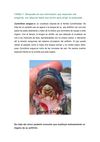Clase 2. Curso Educar