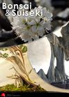 Bonsai & Suiseki magazine - Anno III, n. 1 - Gennaio-Febbraio 2011