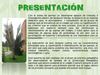 Guía de Orientaciones Herbario Colegio Cafam