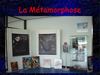 Exposition Métamorphose