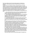 Child Development Essay: Raising Geniuses, or My Little Einstein