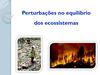 Perturbações no equilibrio dos ecossistemas