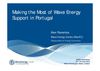 Making the Most of Wave Energy Support in Portugal