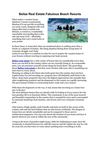 Belize Real Estate Fabulous Beach Resorts
