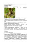 Actividad Juego de Rol
