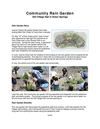 Community Rain Garden