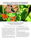 MS: Establishing a Backyard Wildlife Habitat 