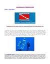 Freediving Is The Latest Trend For Joyous And Mood Full People Around You