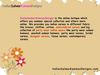 Indian_Salwar_Kameez_Designes_Indian_Wear_Online
