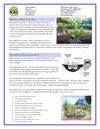 Virgin Islands: Rain Garden Fact Sheet
