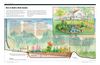 Outdoor America: How to Build a Rain Garden