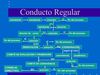Conducto Regular 