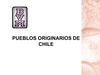 Pueblos Originarios de Chile 