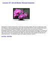 Computers & Accessories - 24 324 LCD Monitor [Personal Computers]