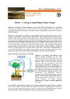 A Strategy to Adapt and Mitigate Climate Change