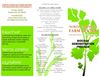 biochar ~ terra preta ~ pyrolisis