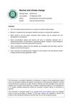 Biochar and climate change - UK Research