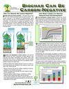 Biochar Can Be Carbon-Negative