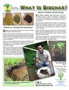 What is Biochar - Part 2