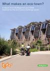 What makes an eco-town?