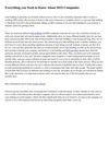 Everything you Need to Know About SEO Companies