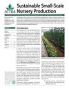 Sustainable Small-scale Nursery Production