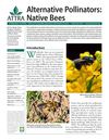 Alternative Pollinators: Native Bees